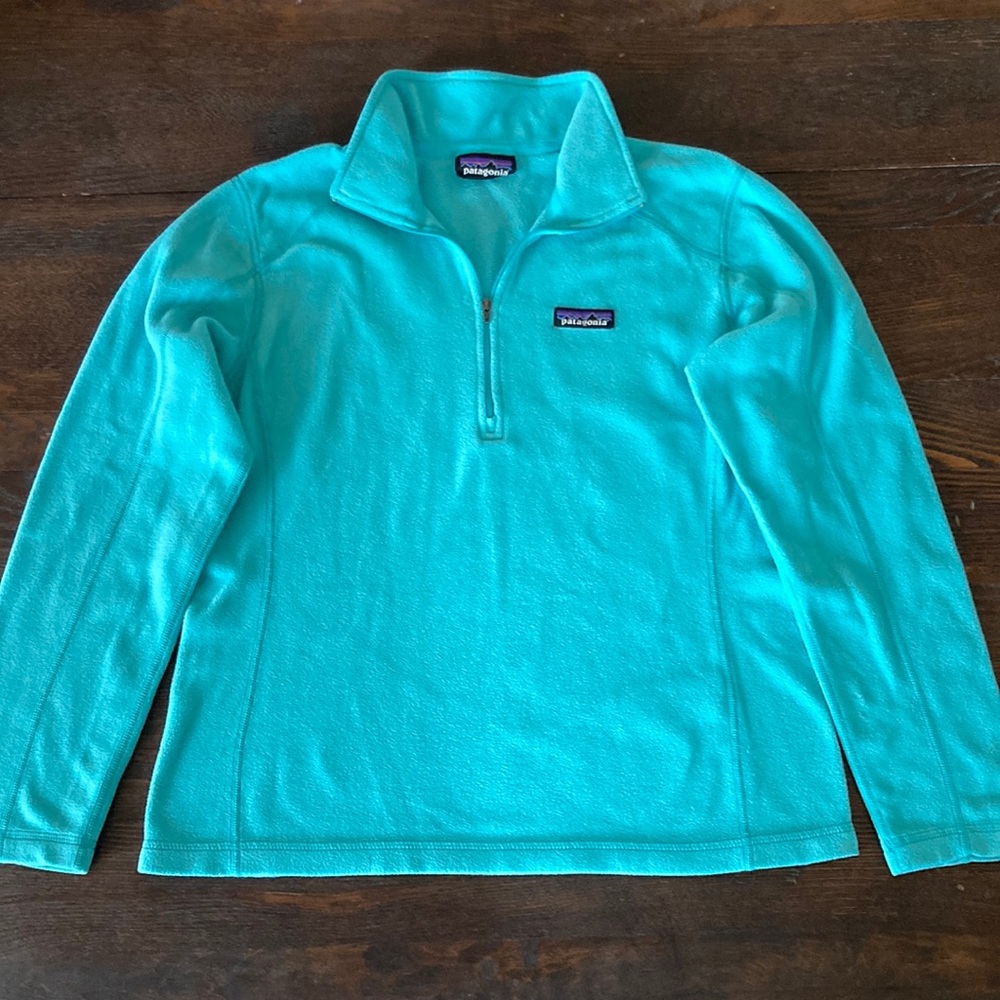 Patagonia Micro D 1/4-Zip Fleece Pullover